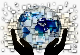 九游体育电竞官网-中超球队年度控场人数分布与效果评估，中超球队人数限制